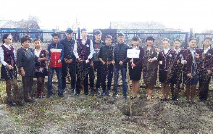 Жас шыбықтан мәуелі бәйтерекке 