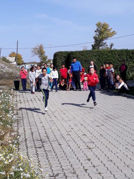 Денсаулық фестивалі - 2018