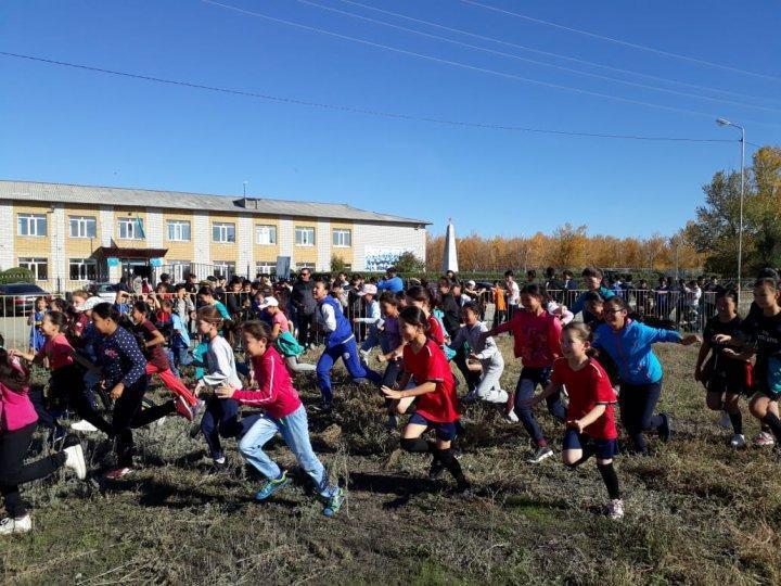 Денсаулық фестивалі - 2018